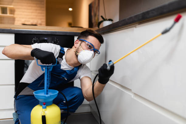 Best Pest Inspection Near Me  in Carrollton, IL