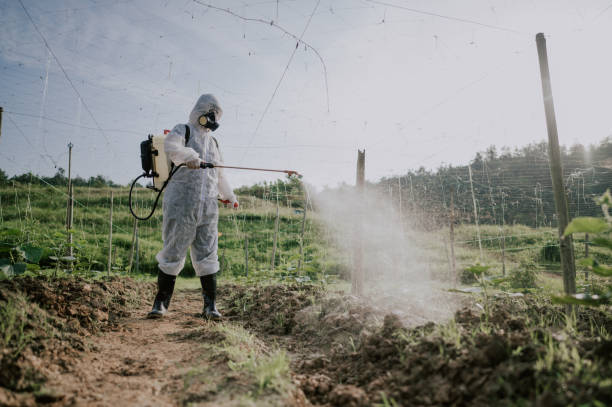 Best Ant Control Services  in Carrollton, IL