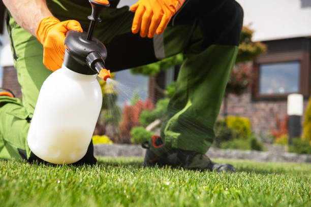 Best Pest Inspection Near Me  in Carrollton, IL
