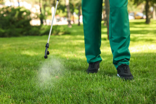 Pest Control for Restaurants in Carrollton, IL