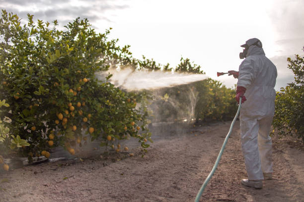 Best Commercial Pest Control Services  in Carrollton, IL