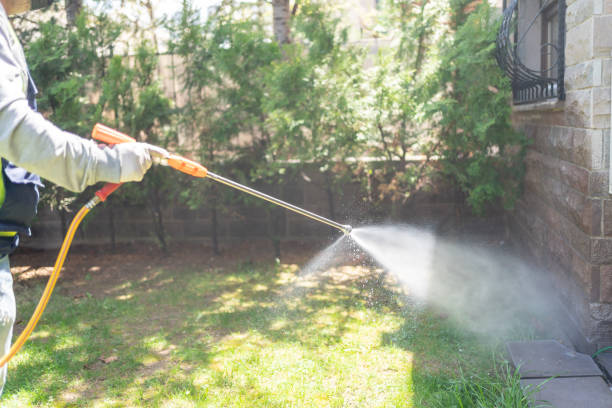 Bird Control in Carrollton, IL