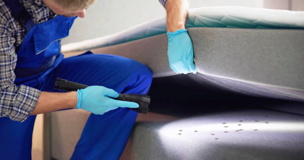 Best Local Pest Control Services  in Carrollton, IL