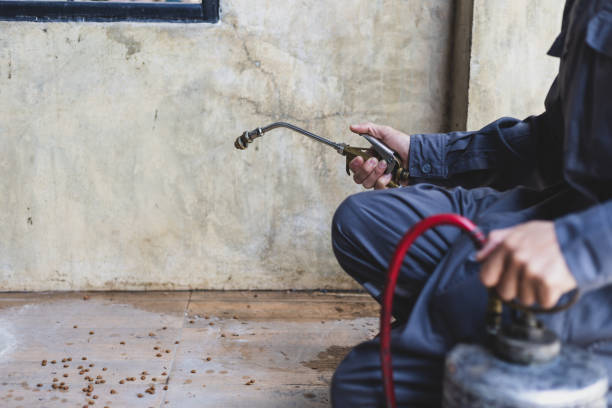 Best Exterminator Services  in Carrollton, IL