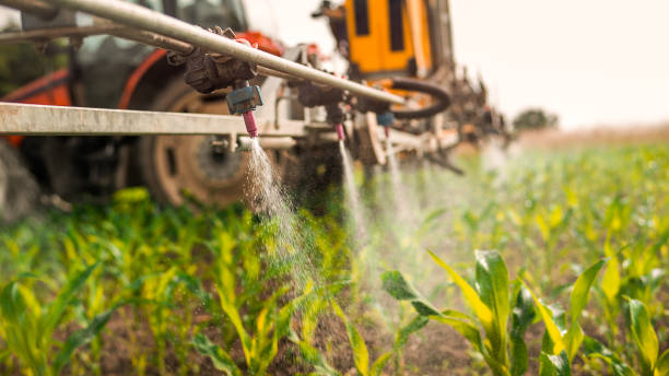 Best Mosquito Control Services  in Carrollton, IL